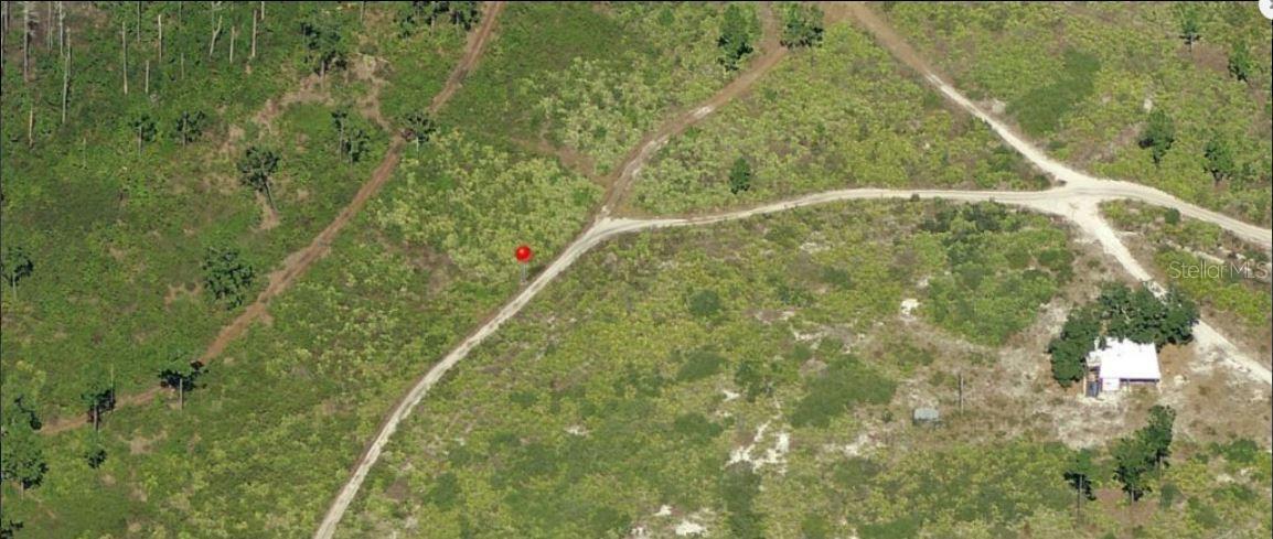 Holopaw Groves Rd Property Photo 3
