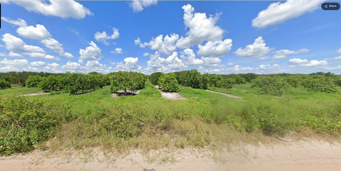 Holopaw Groves Rd Property Photo 3