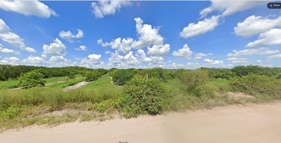 Holopaw Groves Rd Property Photo 3