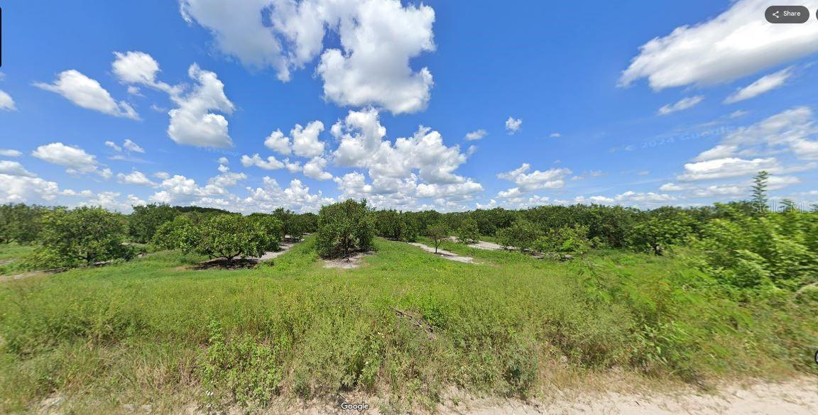 Holopaw Groves Rd Property Photo 4