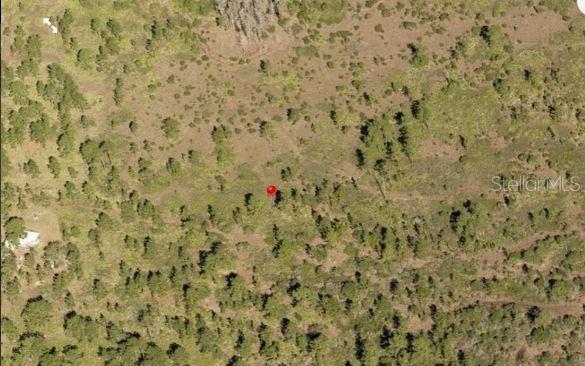 Holopaw Groves Rd Property Photo 2