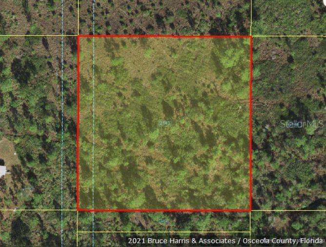 Holopaw Groves Rd Property Photo 3