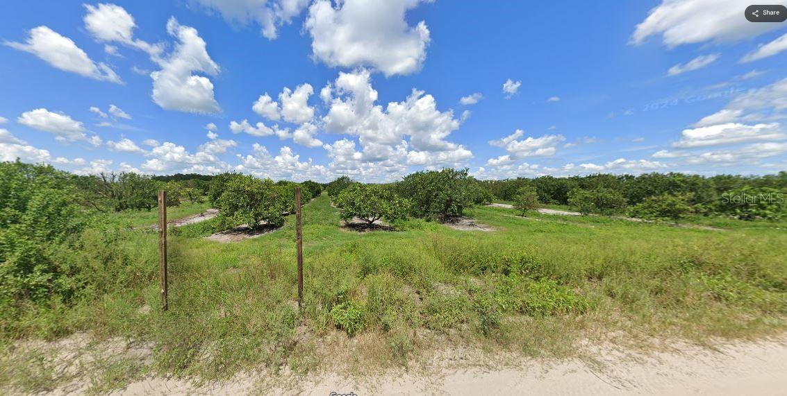Holopaw Groves Rd Property Photo 6