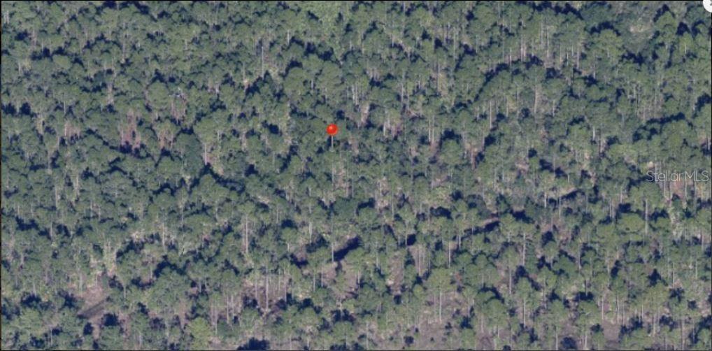 Holopaw Groves Rd Property Photo 2