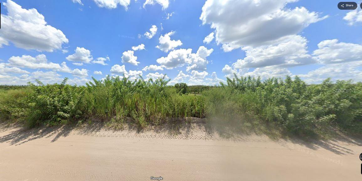 Holopaw Groves Rd Property Photo 5