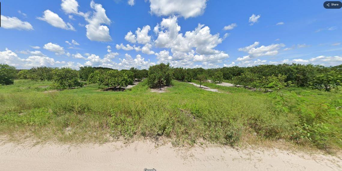 Holopaw Groves Rd Property Photo 5