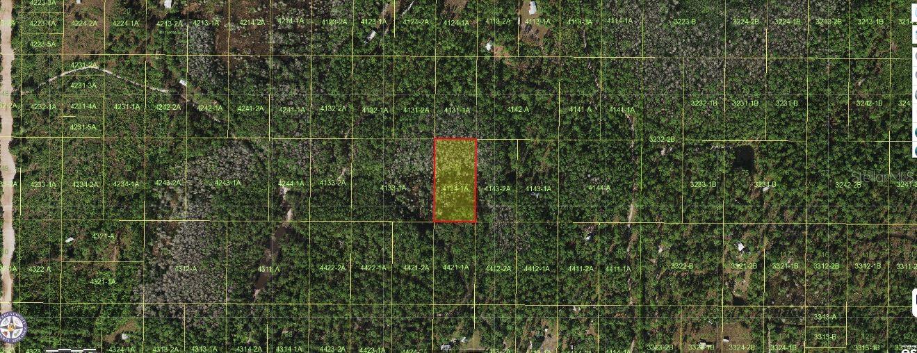 Holopaw Groves Rd Property Photo 1