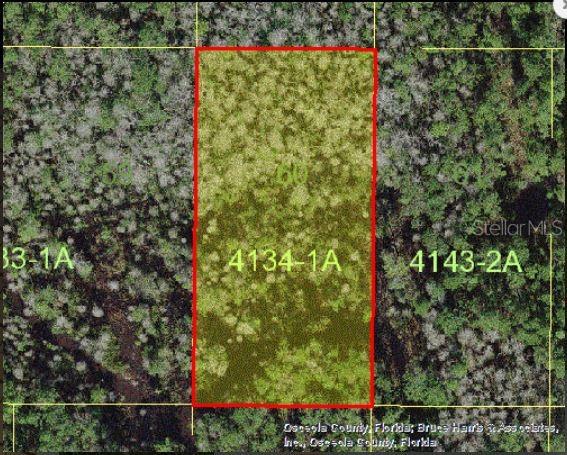 Holopaw Groves Rd Property Photo 2