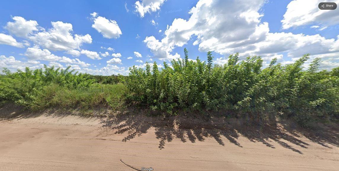 Holopaw Groves Rd Property Photo 4