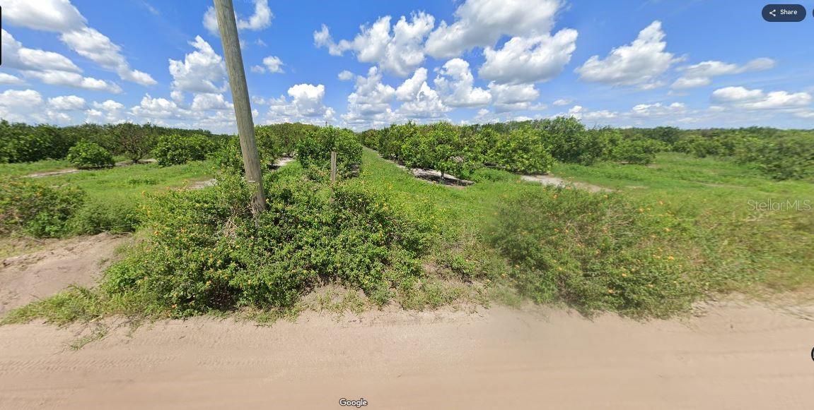 Holopaw Groves Rd Property Photo 7