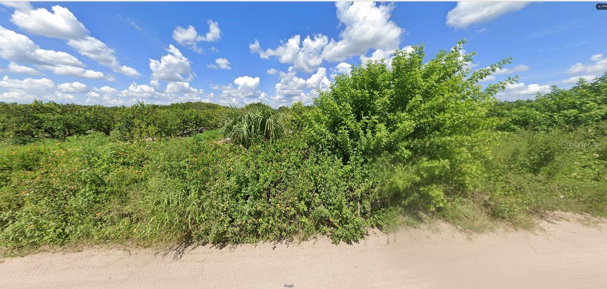 Holopaw Groves Rd Property Photo 3