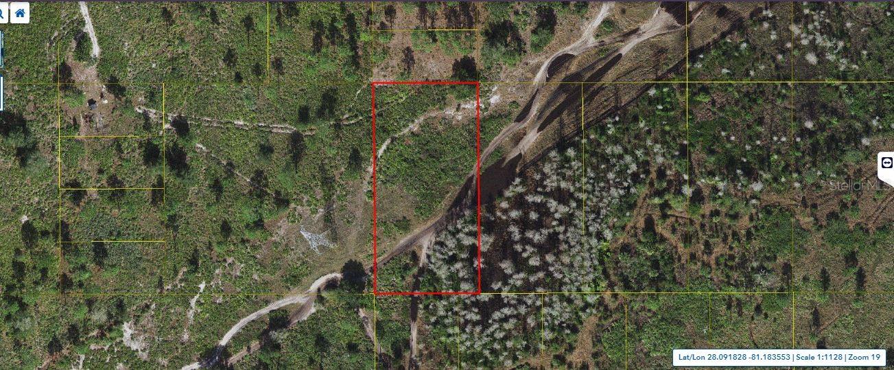HOLOPAW GROVES RD Property Photo 1