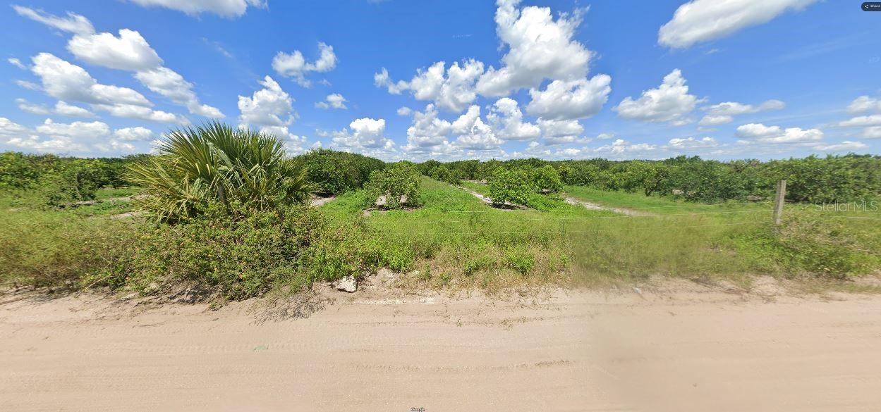 Holopaw Groves Rd Property Photo 3