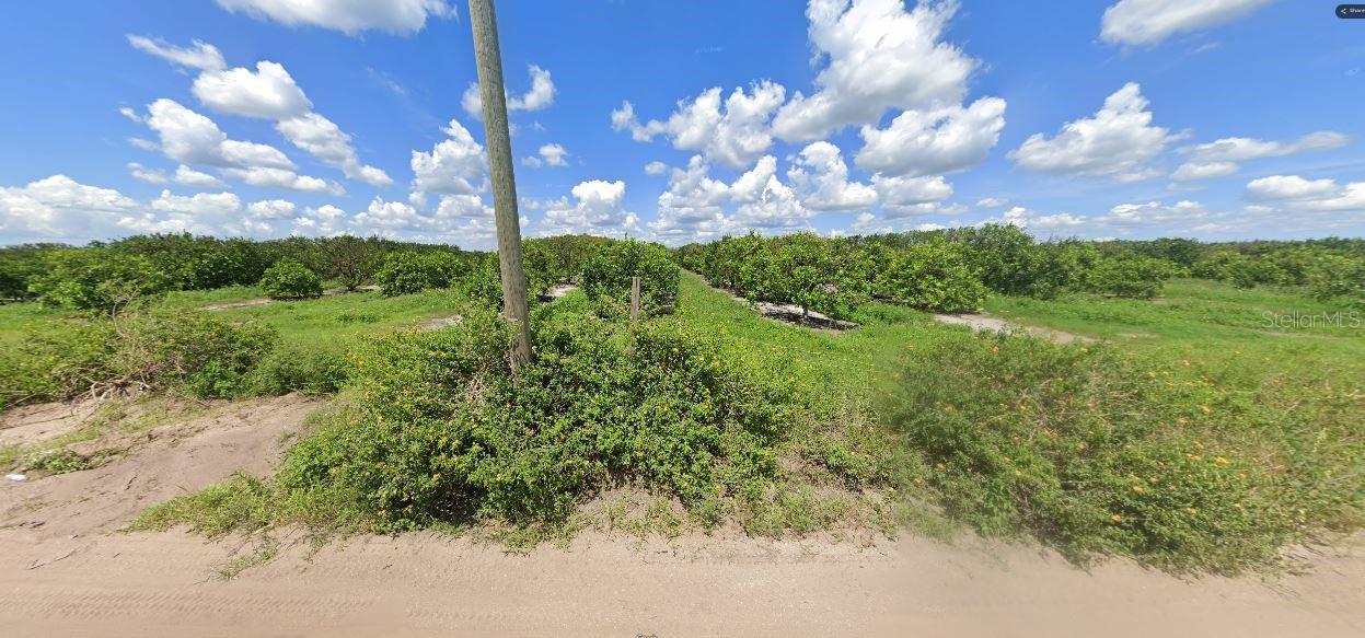 Holopaw Groves Rd Property Photo 3