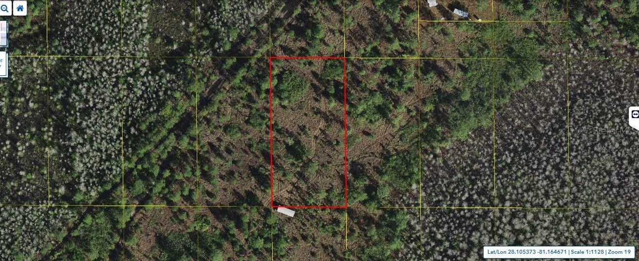 HOLOPAW GROVES RD