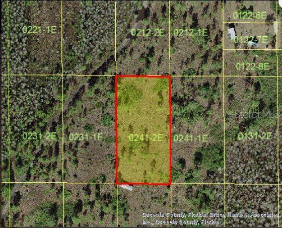 Holopaw Groves Rd Property Photo 3
