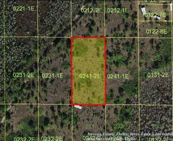 Holopaw Groves Rd Property Photo 4