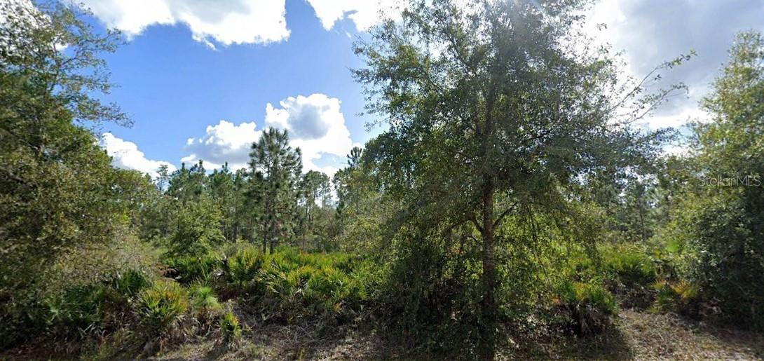 Alba Dr Property Photo 1