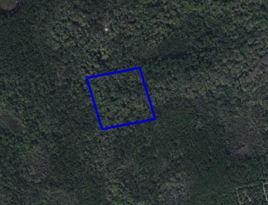 095 Pine Needle Rd Property Photo 2