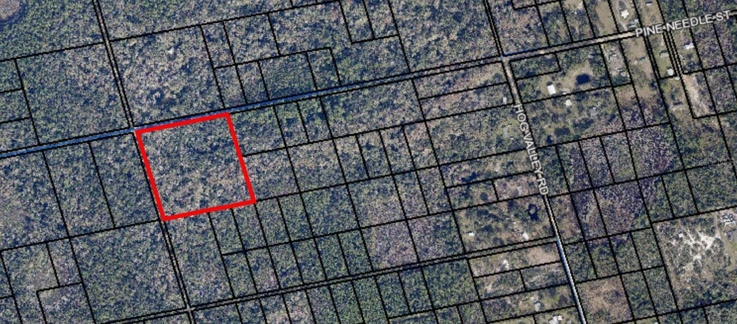 095 Pine Needle Rd Property Photo 3