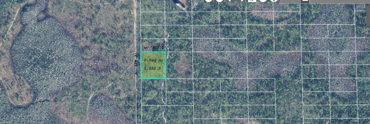 627 Dill Rd Property Photo 3