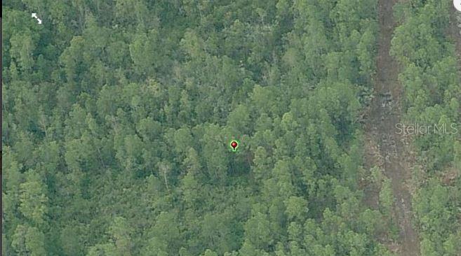 Fort Christmas Rd Property Photo 3
