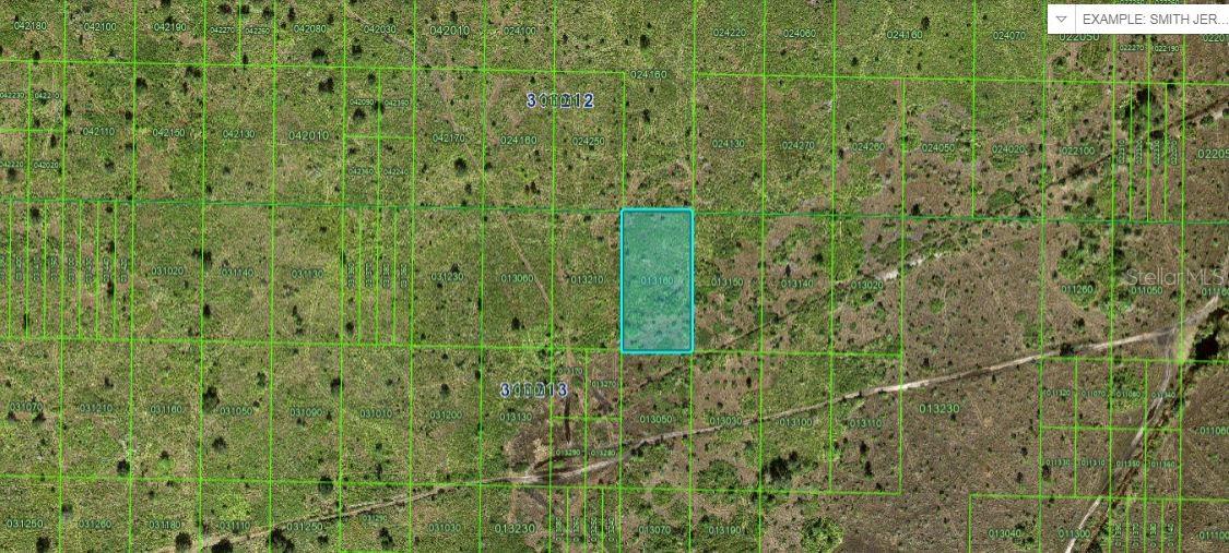 RIVER RANCH BLVD Property Photo 1