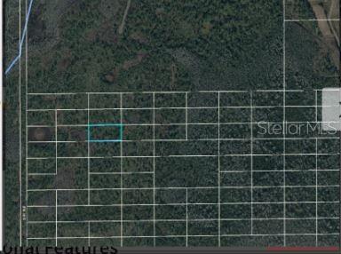Dill Rd Property Photo 5