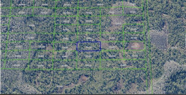 Dill Rd Property Photo 6