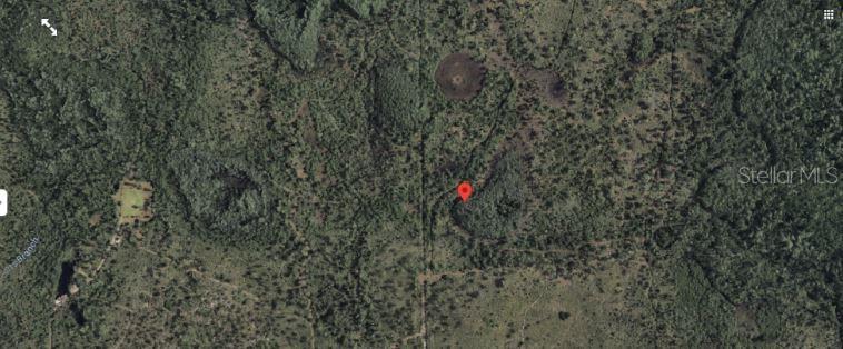 2307 Dill Rd Property Photo 3