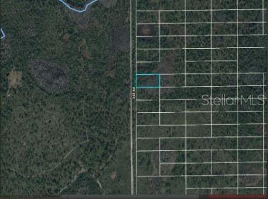 2307 Dill Rd Property Photo 5