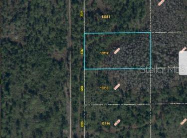 2307 Dill Rd Property Photo 6