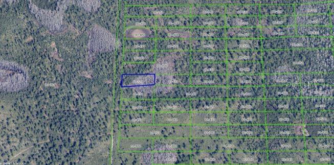 2307 Dill Rd Property Photo 7