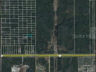 Dill Rd Property Photo 5