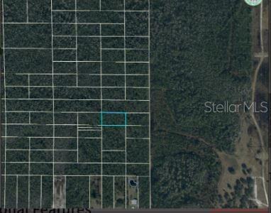 Dill Rd Property Photo 6