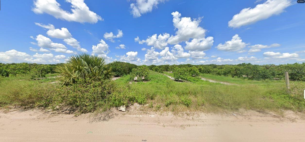 Holopaw Groves Rd Property Photo 3