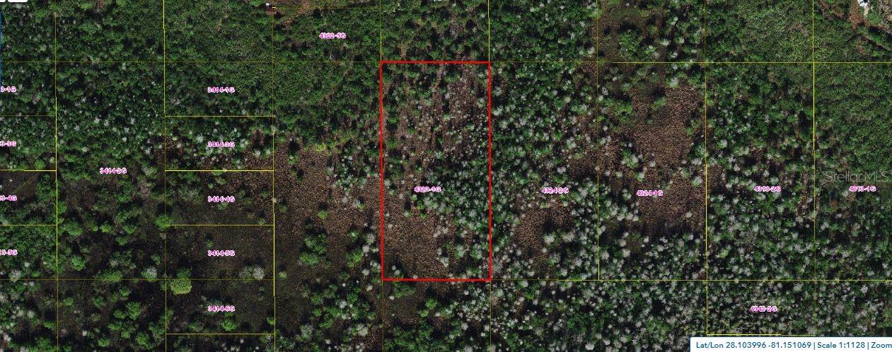 Holopaw Groves Rd Property Photo 1