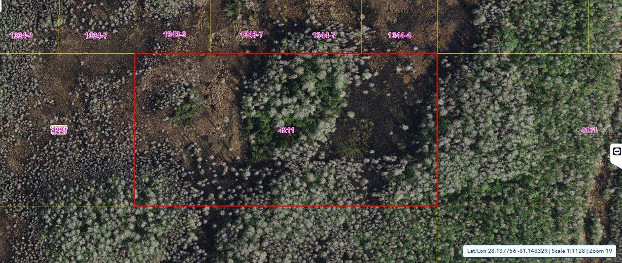 HOLOPAW GROVES RD Property Photo 1