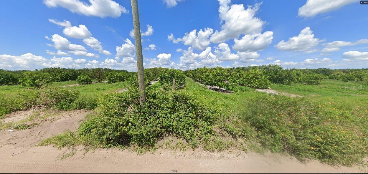 Holopaw Groves Rd Property Photo 3