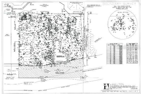 Armand Drive Property Photo 10
