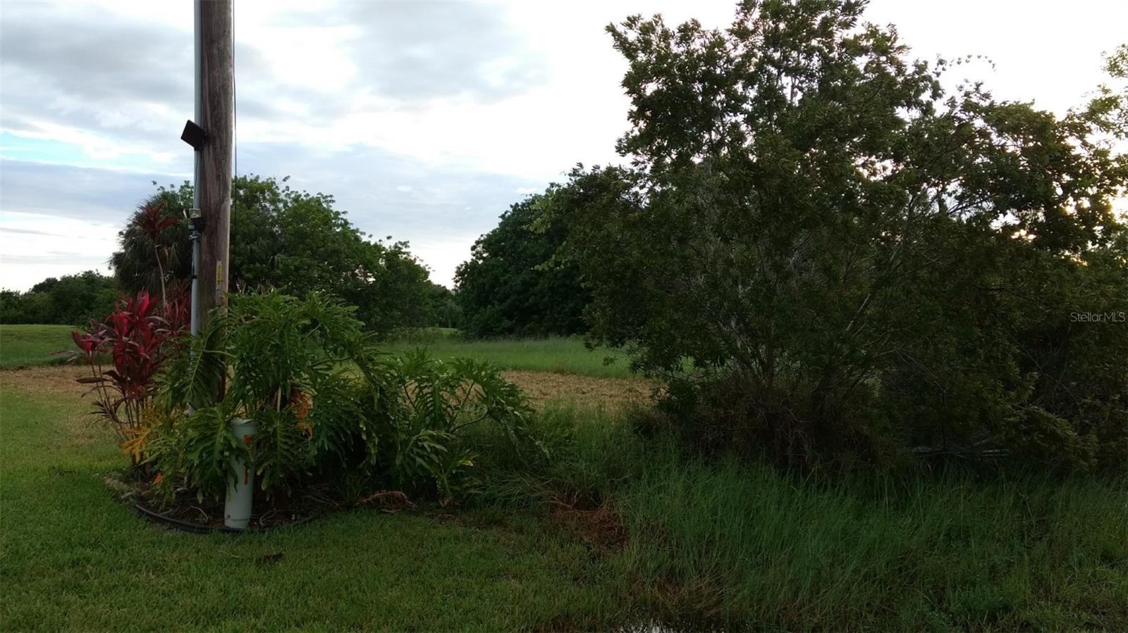 670 Mirror Lakes Ct Property Photo 2