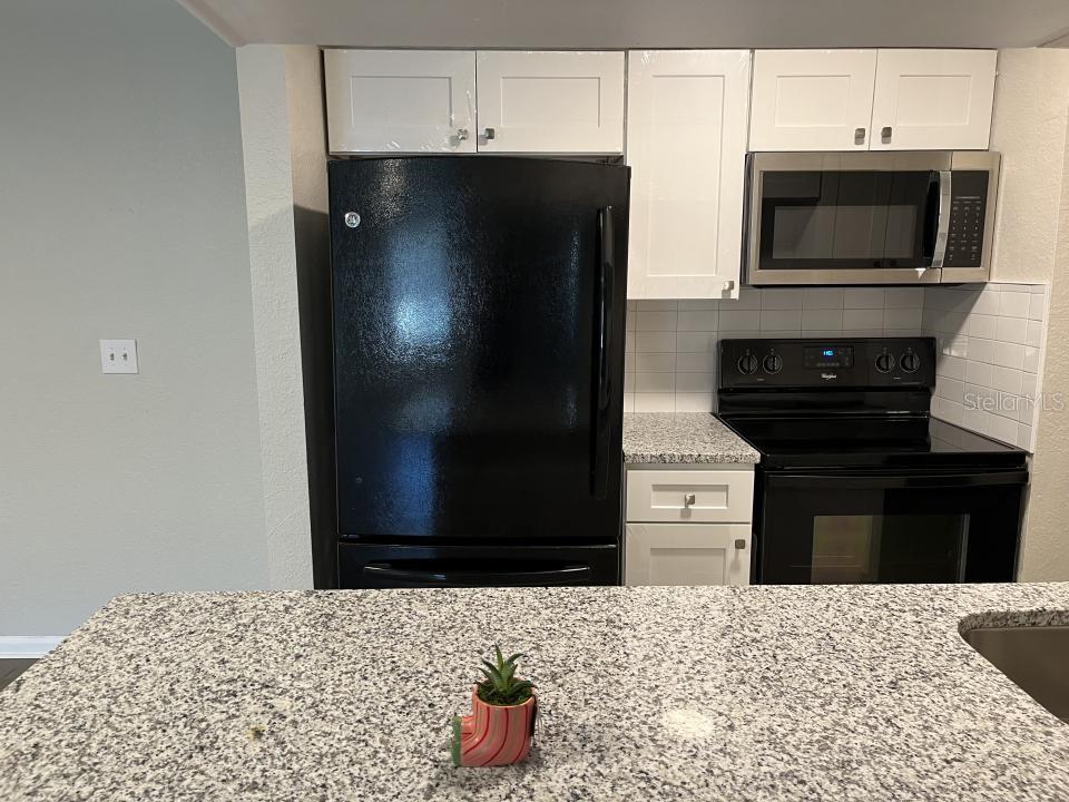 624 Golden Raintree Pl #624 Property Photo 2