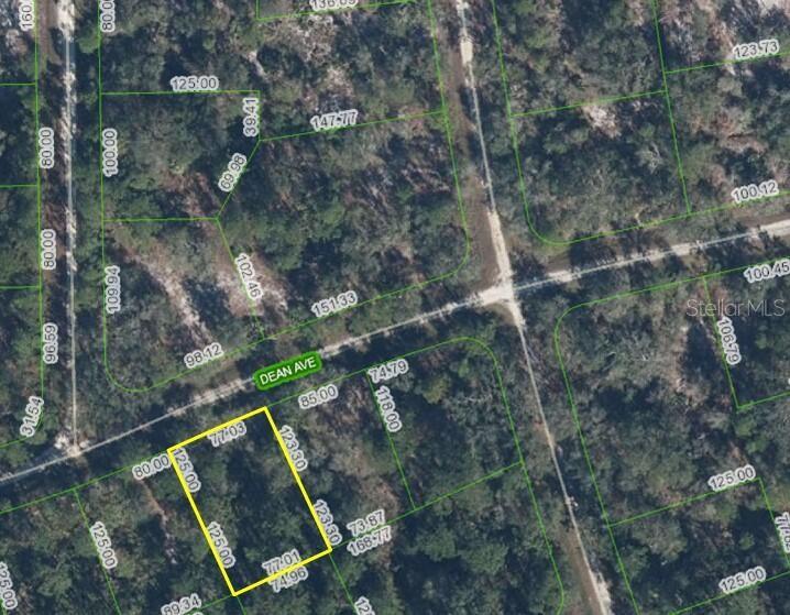 3236 Dean Ave Property Photo 2