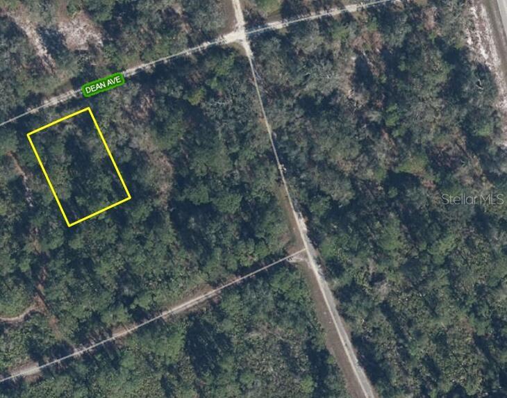 3236 Dean Ave Property Photo 4