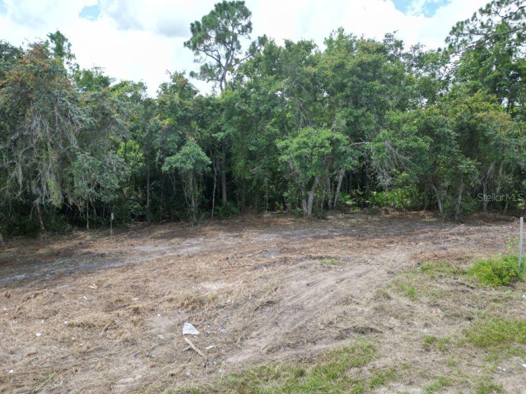 2415 Pecos Ln Property Photo 2