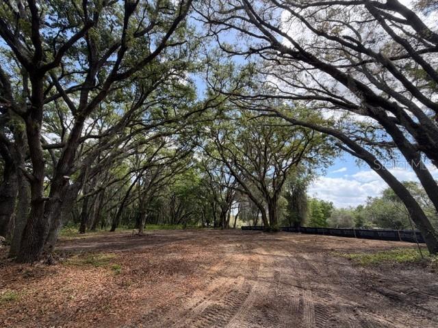 17144 Phil C Peters Rd Property Photo 8
