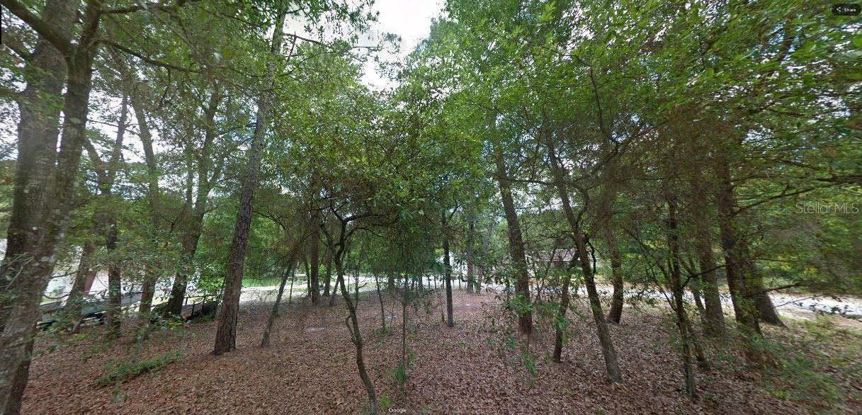 Hoy Lake St Property Photo 3