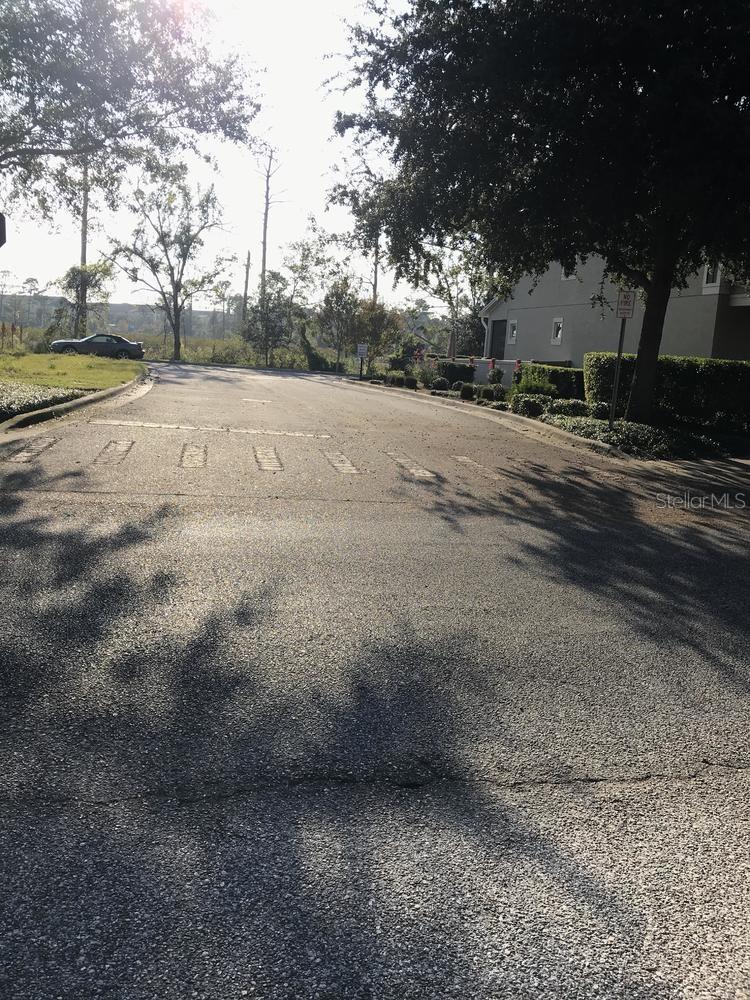 Parcel 1 - 607 Oviedo Blvd Property Photo 3