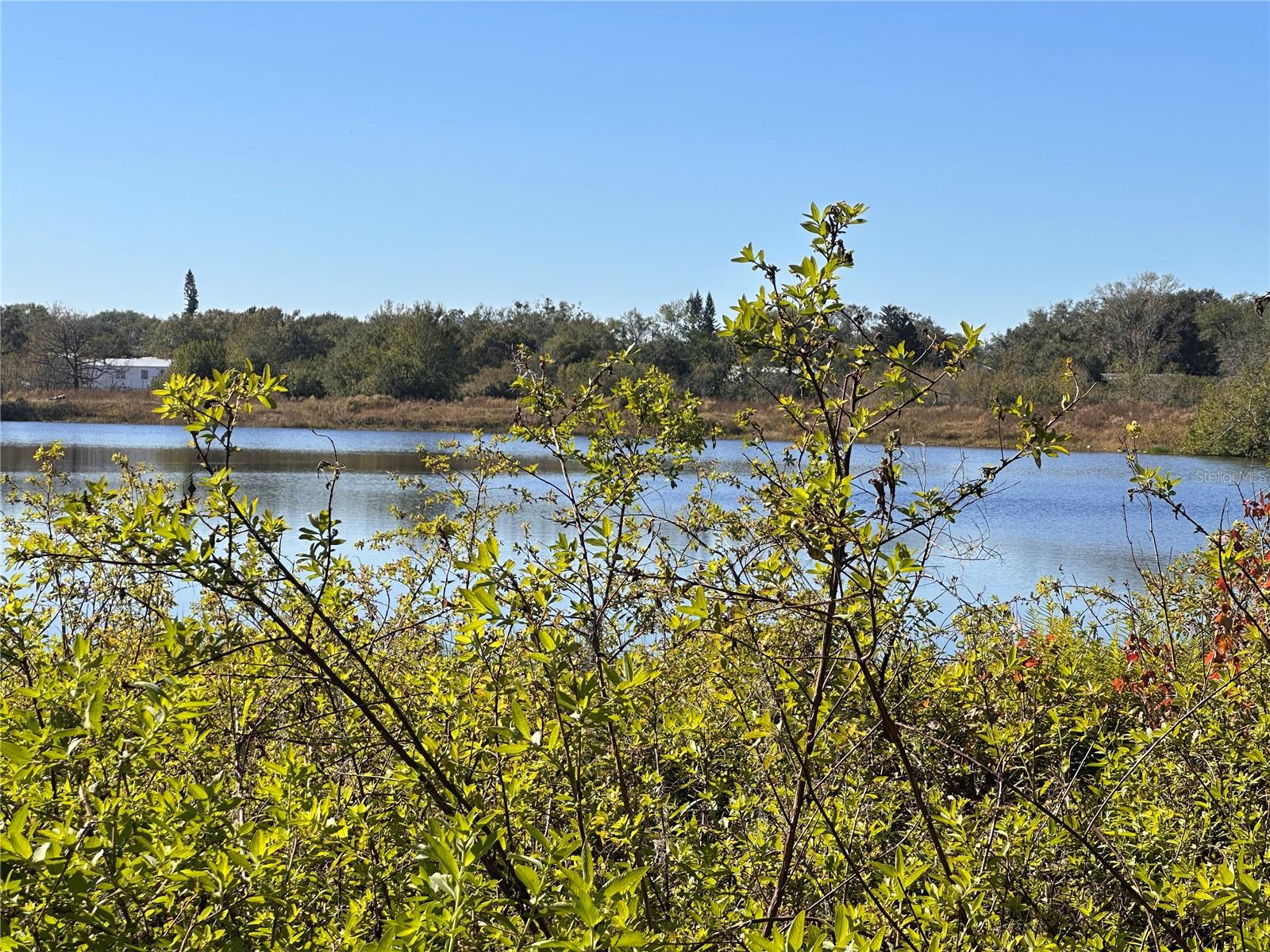 State Road 60 Property Photo 3