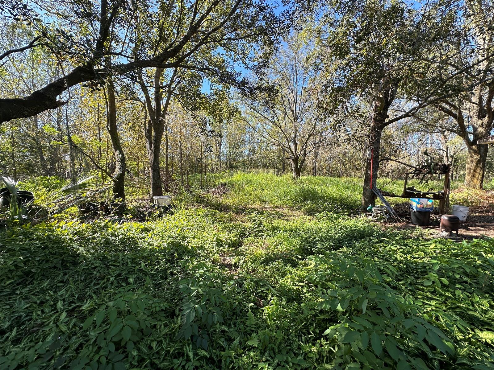 State Road 60 Property Photo 7